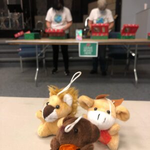 122707900_10157349098882397_7926168023657471319_o