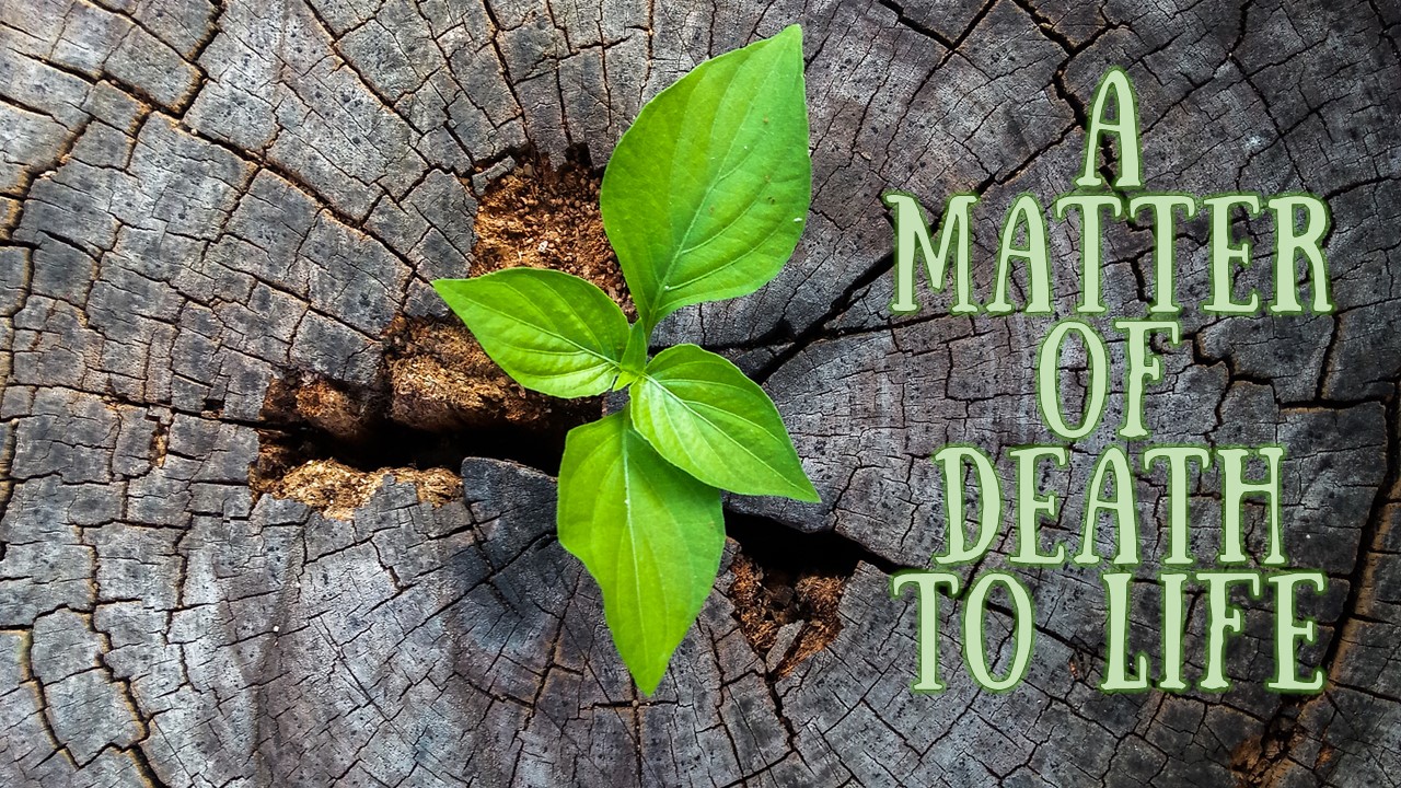 A MATTER OF DEATH to LIFE