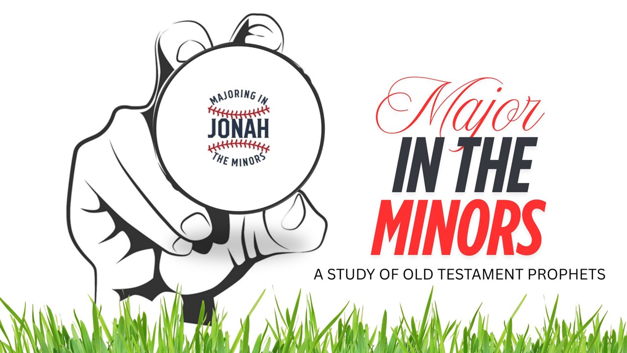 MAJOR IN THE  MINORS